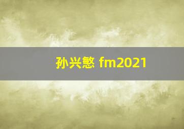 孙兴慜 fm2021